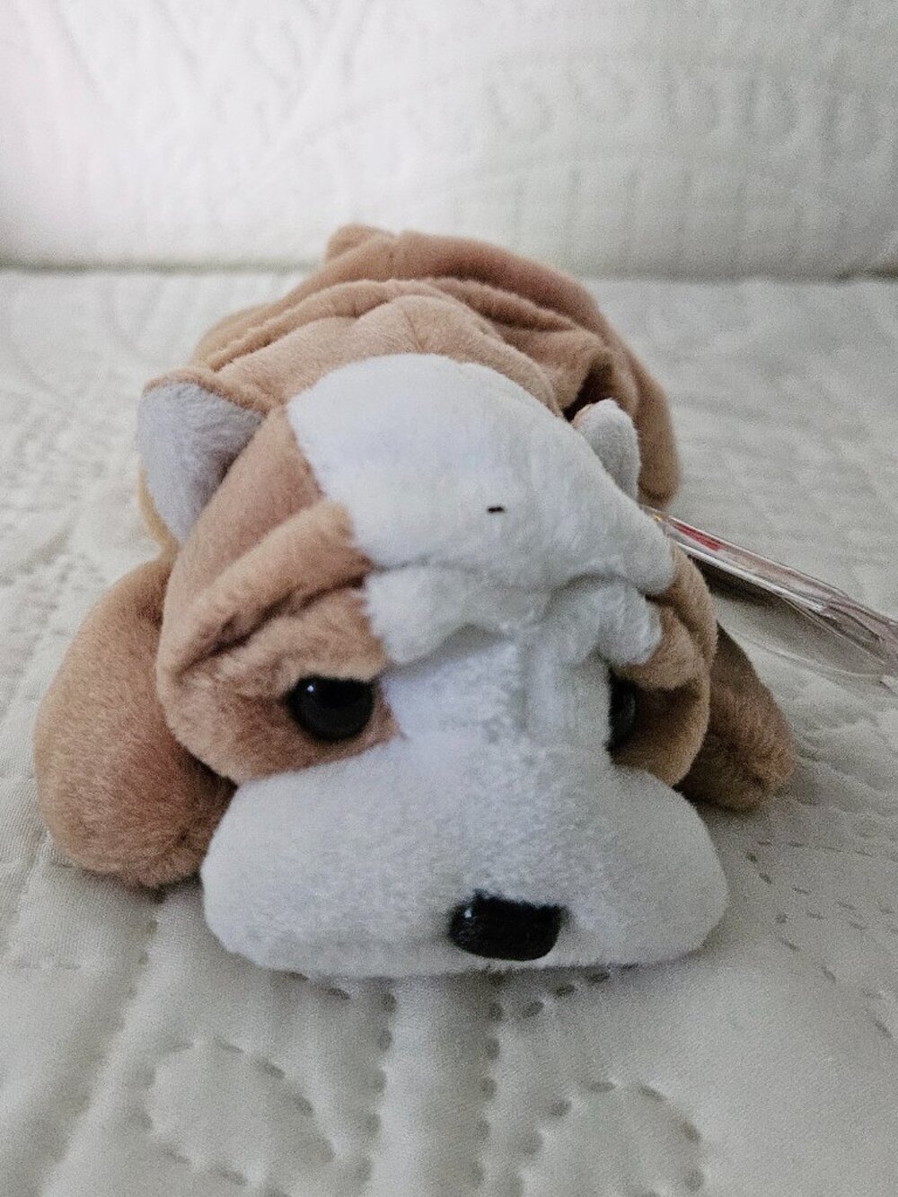 Ty Beanie Babies, Wrinkles the little dog (Retired, 1996)